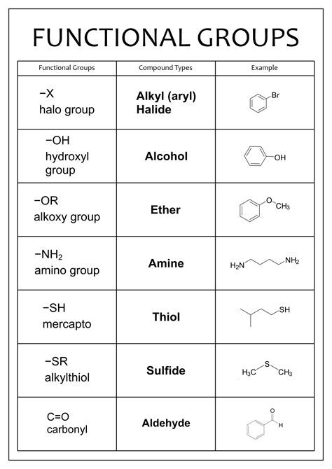 Functional Groups Practice Worksheet - Worksheets Library