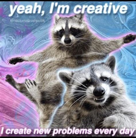 MY FAVORITE RACCOON MEMES (@nocturnaltrashposts on insta) : r/Raccoons