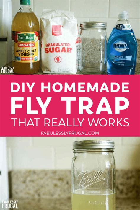 Homemade Fruit Fly Trap Vinegar Sugar at Cheryl Lecompte blog