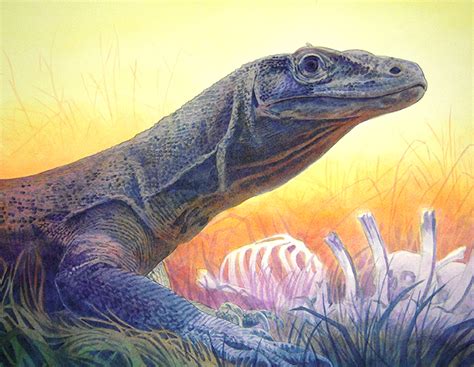 Alan Hawley Illustration: Komodo Dragon Painting