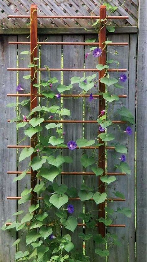 35 Easy DIY Garden Trellis Ideas | Diy garden trellis, Trellis plants ...