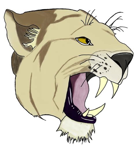 Mountain Lion Face Drawing at GetDrawings | Free download