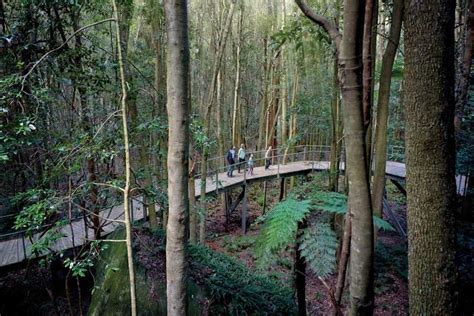 From Sydney: Blue Mountains, Scenic World, Zoo, & Ferry Tour | GetYourGuide