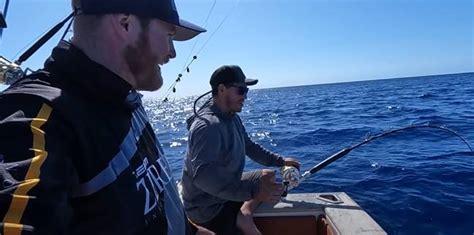 Fishermen Catch Massive Shark Before Realising It’s Been Eaten By Something Even Bigger