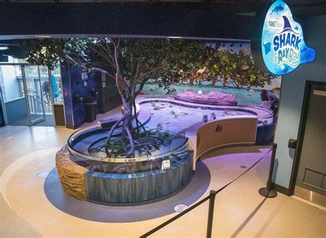 Aquarium unveils newest exhibit | Local News | niagara-gazette.com ...