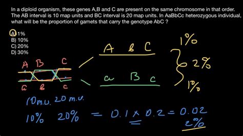 How to solve Chromosomal crossover problems - YouTube