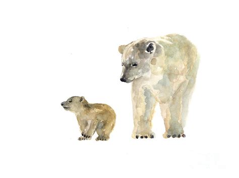 Polar bears watercolor art print painting Painting by Joanna Szmerdt - Fine Art America