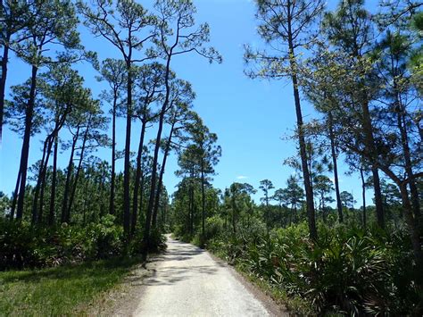 Bon Secour National Wildlife Refuge - Unnamed Adventures