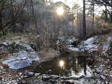 Winter light on Percha Creek - Sierra County Citizen