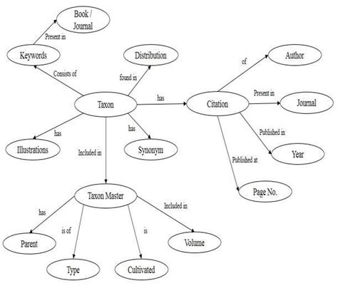 Semantic diagram representing floral taxon IV. KNOWLEDGE-DRIVEN... | Download Scientific Diagram