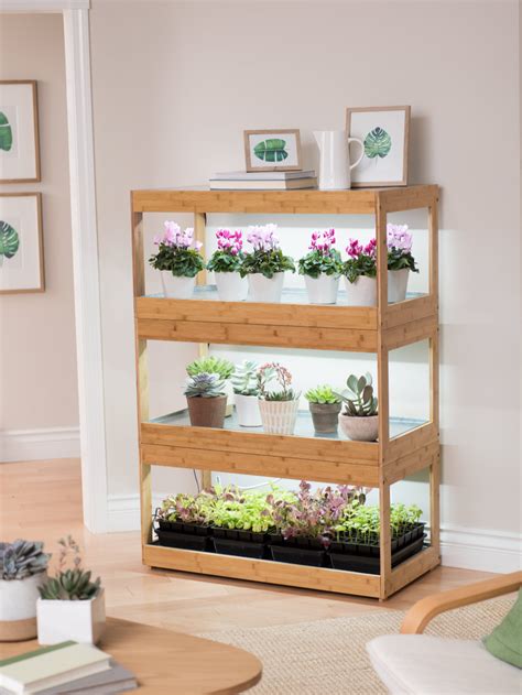 3-Tier Bamboo Stand with LED Grow Lights for Succulents and Seeds ...