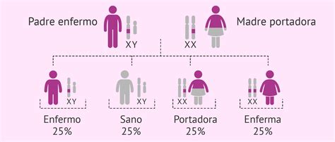Herencia de enfermedades ligadas al cromosoma X recesivas