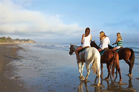 Horseback Riding in Santa Barbara | Beach Tours