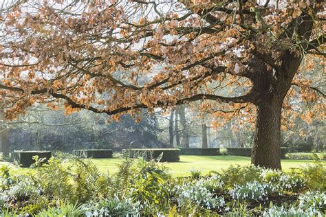 Cambridge University Botanic Garden