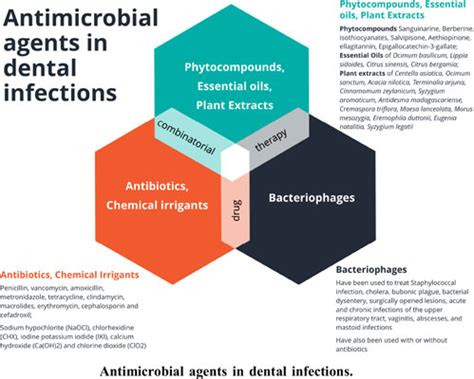 Antimicrobial Therapeutic Strategies for Enterococcus faecalis In Dental Infections - Past ...