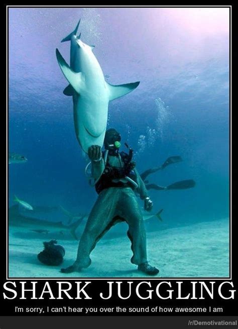 JUGGLING SHARKS | funny demotivational poster | Sharks funny, Shark, Shark pictures