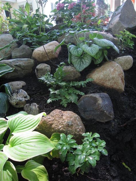 landscaping with rocks hills - Google Search Outdoor Landscaping Ideas ...