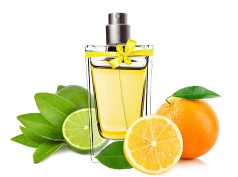 Shopping Challenge: Citrus Under $25 USD ~ Fragrance Reviews