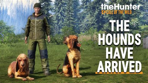 BLOODHOUND DLC - FIRST LOOK - TheHunter Call of the Wild - YouTube