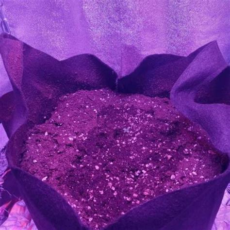 Custom Breeder & Strain ghost train haze grow journal by bud555 ...