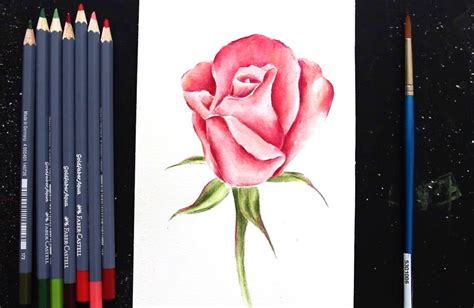 Watercolor Pencil Tutorial Realistic Rose - Erika Lancaster- Artist + Online Art Teacher