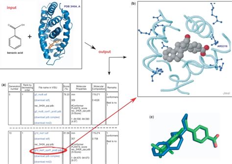 Input and Output contents of the de novo drug design module. Inputs are ...