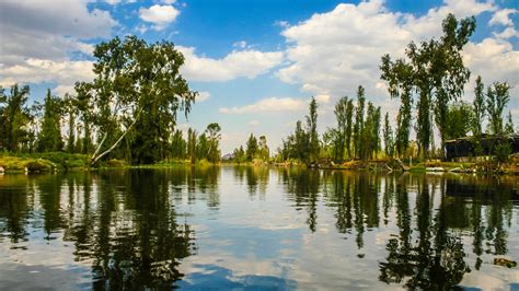 In Xochimilco, Mexico City, Aztec-Era Floating Gardens Offer a Path to ...