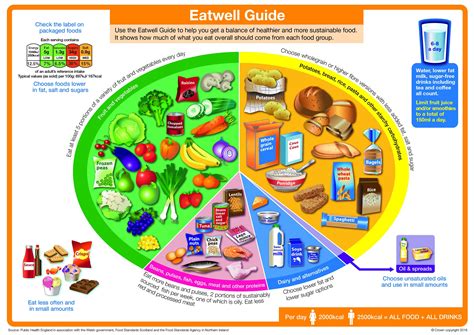 Eatwell Guide : r/coolguides