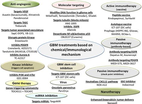 Frontiers | Glioblastoma Treatments: An Account of Recent Industrial ...