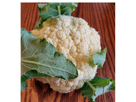 Sprouting Cauliflower - Bibb Forest Farm- Regenerative, organically ...