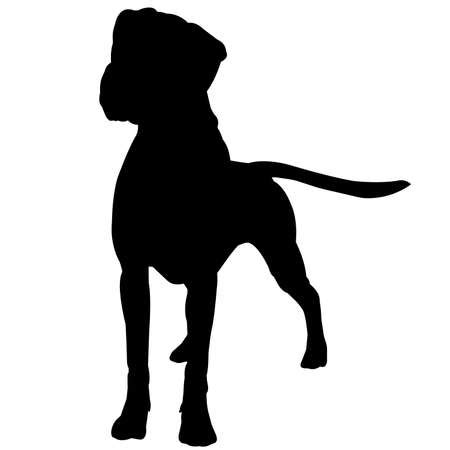 Vector of Boxer Dog Silhouette Vector - ID:157967634 - Royalty Free ...