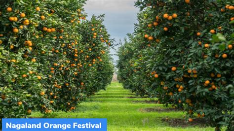 Nagaland Orange Festival – GKToday