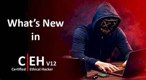 What’s New in Certified Ethical Hacker v12 ( CEH v12 )? - Web Asha