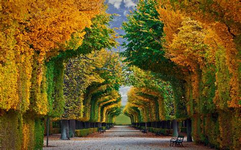 Schönbrunn Palace gardens in Vienna, Austria - [1920 x 1200]