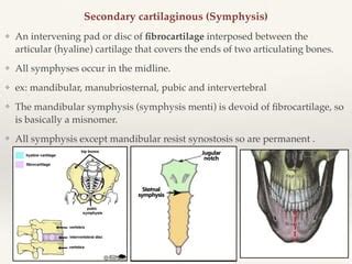 Symphysis Menti