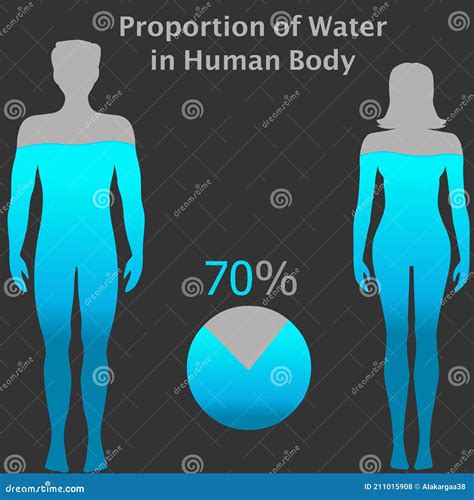 Percentage Of Water In Human Body Chart - img-Aaralyn