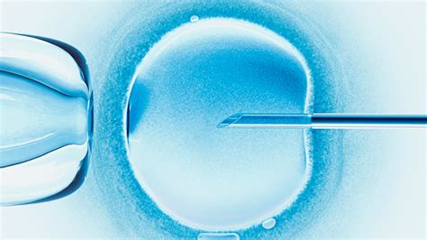 In Vitro Fertilization (IVF): Side Effects, Cost, and Risks | Allure