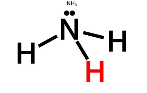 (Solved) - Draw the Lewis structure of ammonia (NH3) I hope I did it... (1 Answer) | Transtutors