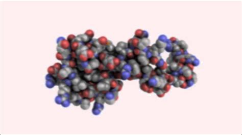 YouTube | Protein folding, Animation reference, Simulation