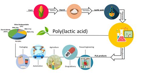 Polymers | Free Full-Text | Poly(lactic Acid): A Versatile Biobased Polymer for the Future with ...