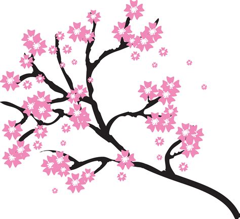 Cherry Blossom Tree Branch Drawing | Free download on ClipArtMag