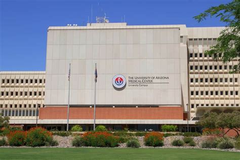 University Of Arizona College Of medicine Requirements - CollegeLearners.org