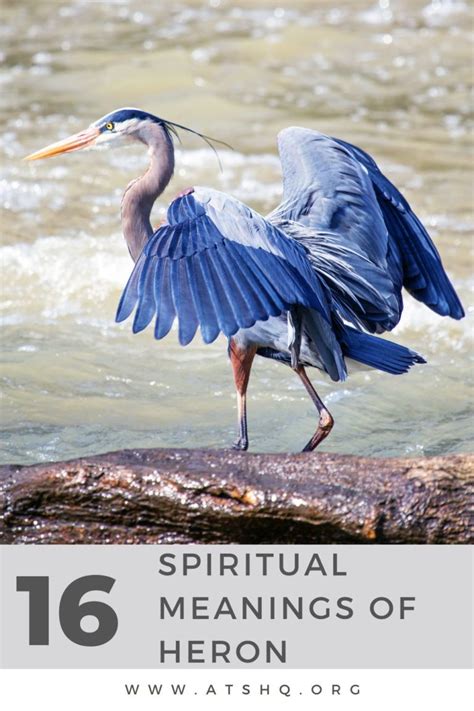 Heron Symbolism: 16 Spiritual Meanings Of Heron