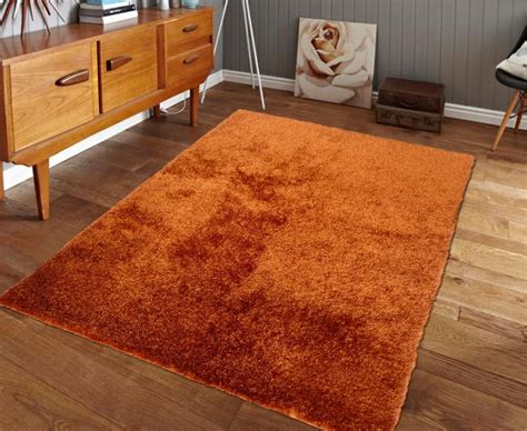 Easy Ideas For Using The Burnt Orange Area Rug – Madison Art Center Design