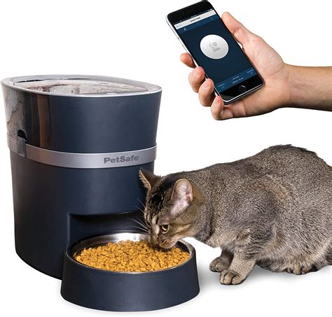 5 Time Release Cat Food Dispensers for Portion Feeding