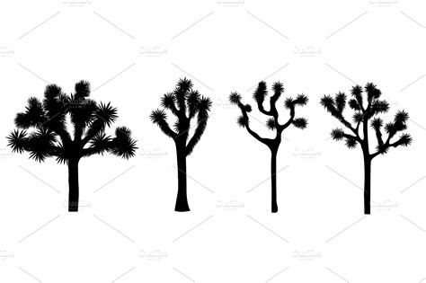 Joshua tree vector collection | Illustrations ~ Creative Market