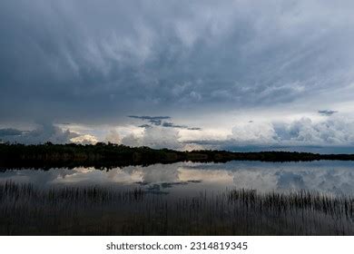 Florida Rain Stock Photos - 7,594 Images | Shutterstock