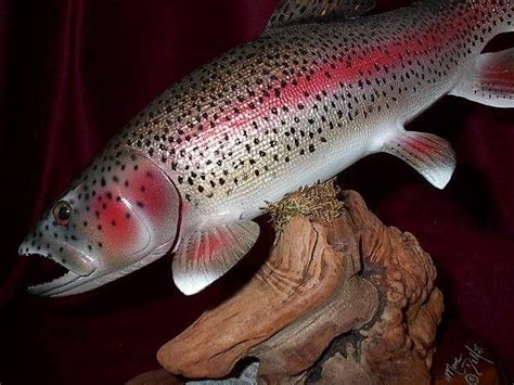 Rainbow Trout Sculpture