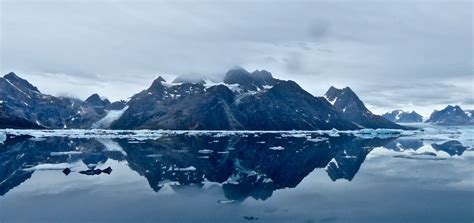 Explore Top Greenland Fjords: Ilullisat Icefjord, Alpefjord & More