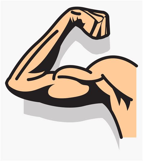 Clip Art Cartoon Arm - Strong Arm Cartoon Png, Transparent Png - kindpng